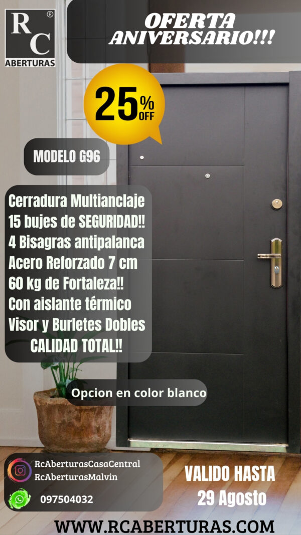 Puerta de ALTA SEGURIDAD REFORZADA (Modelo G96)