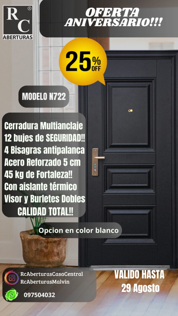 Puerta de ALTA SEGURIDAD (Modelo N722)