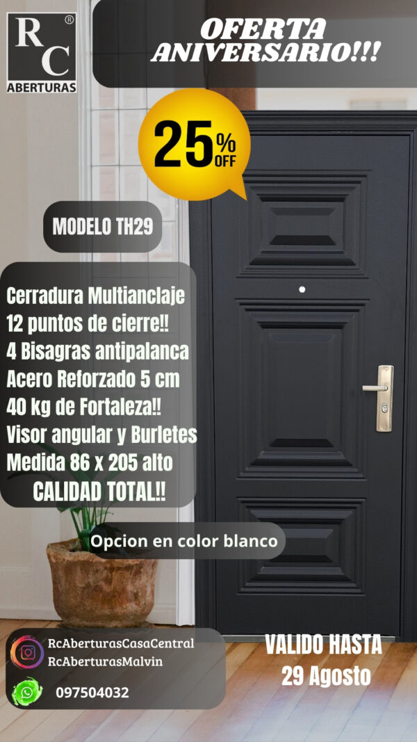 Puerta de SEGURIDAD (Modelo TH29)
